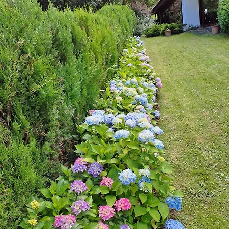 Park Fairy 奇夫利克